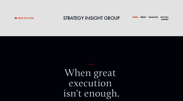 strategyinsightgroup.com