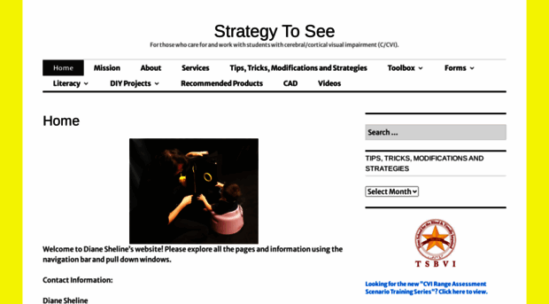 strategytosee.com