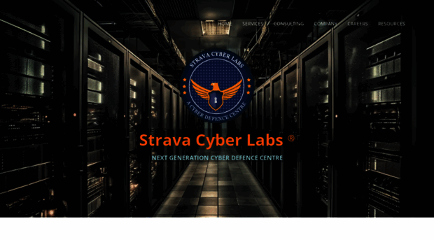 stravacyberlabs.in