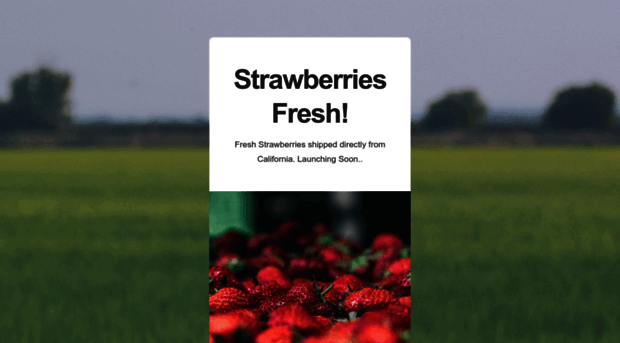 strawberriesweb.com