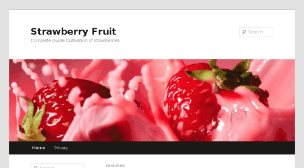 strawberryfruit.net