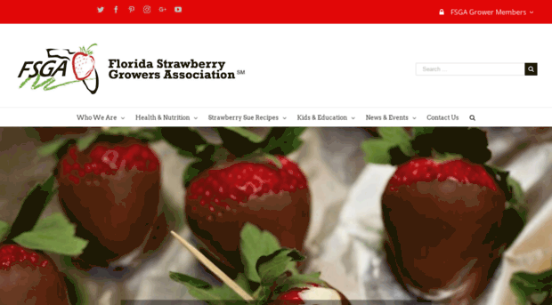 strawberrysue.com