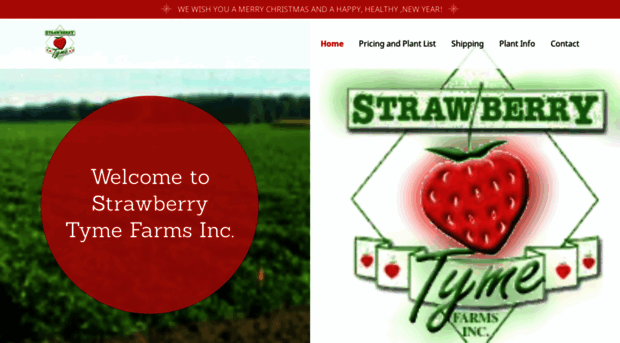 strawberrytyme.com