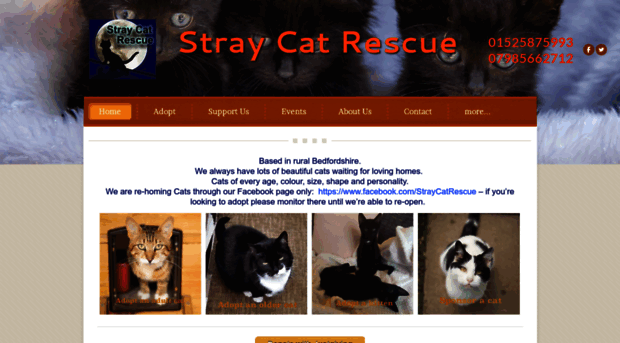 straycatrescue.org.uk