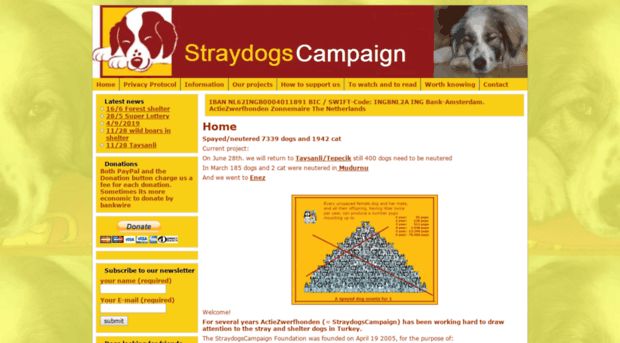 straydogscampaign.com
