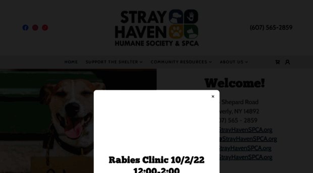 strayhavenspca.org