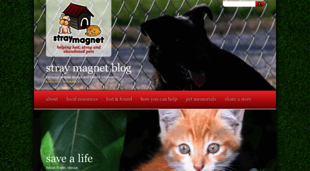 straymagnet.com