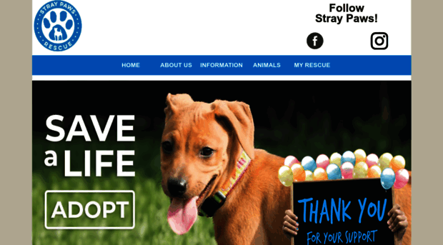 straypawsrescue.com