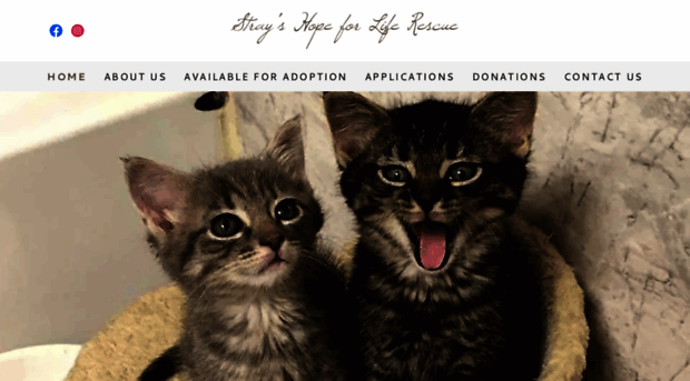 strayshopeforliferescue.org