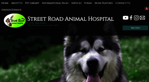 strdanimalhospital.com