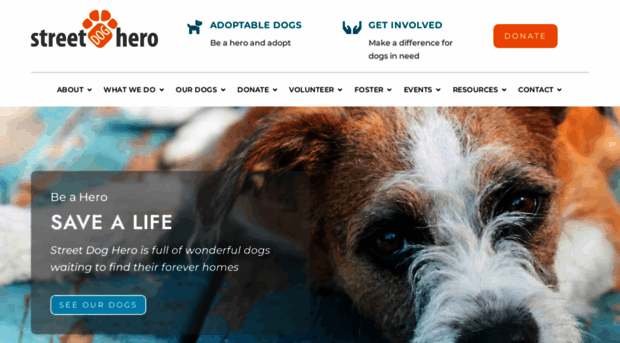 streetdoghero.org