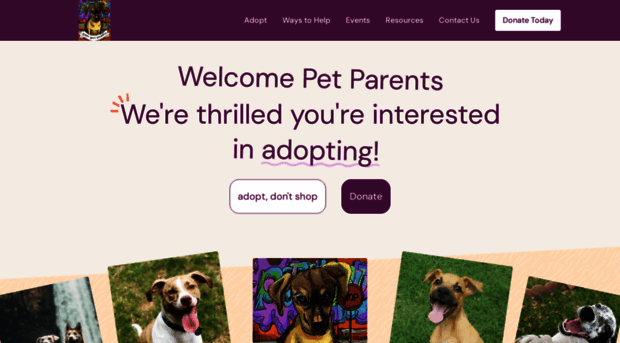 streetsavvydogrescue.org