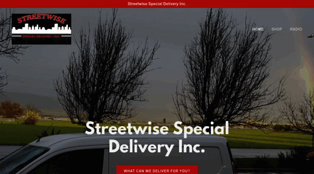 streetwisesd.com