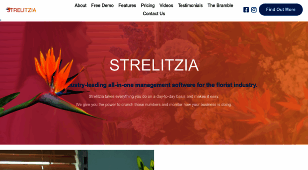 strelitziasoftware.com