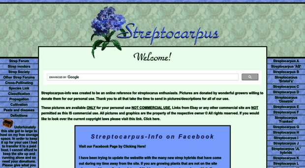streptocarpus-info.com
