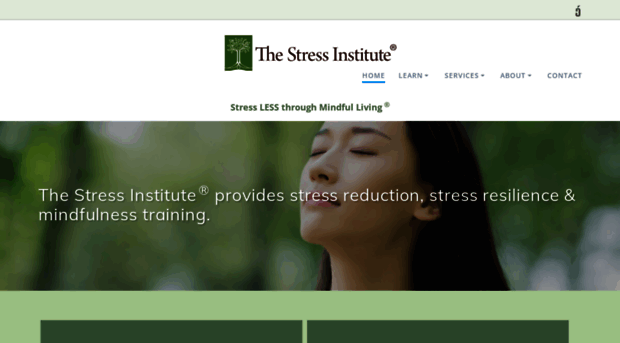 stressinstitute.com