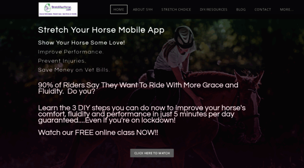 stretchyourhorse.com