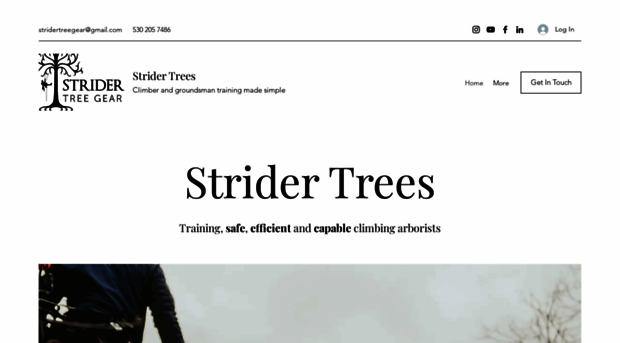 stridertrees.com