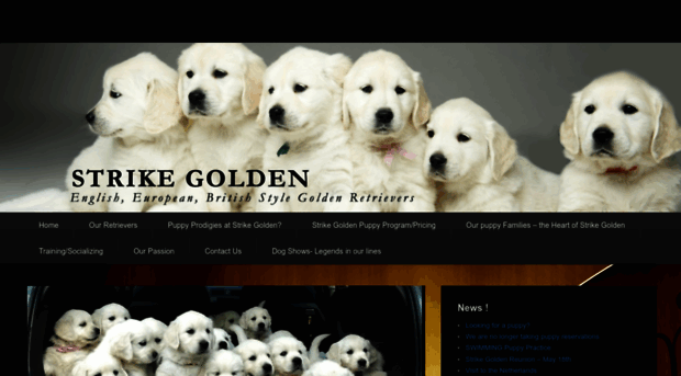 strikegolden.com