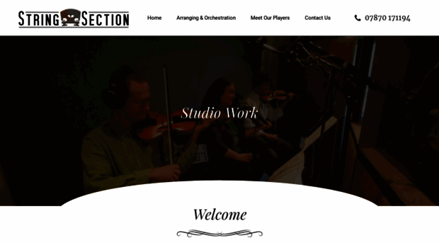 stringsection.co.uk