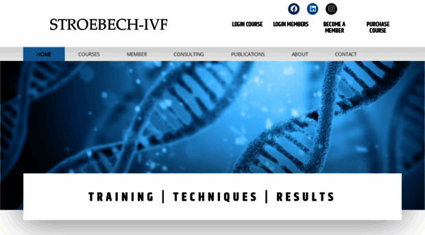 stroebech-ivf.com