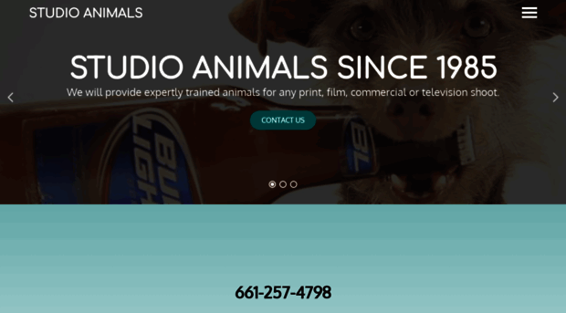 studioanimalservices.com