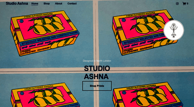 studioashna.com