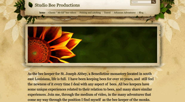 studiobeeproductions.com