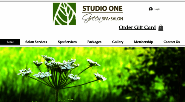 studioonegreenspagalena.com