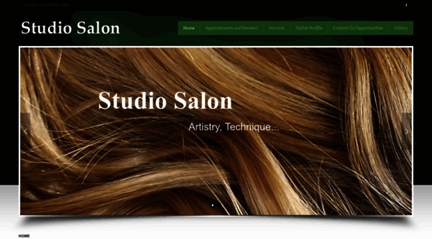 studiosalonofbonneylake.com