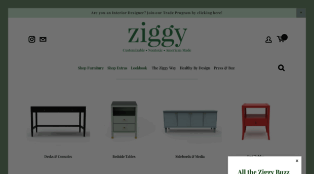 studioziggy.com