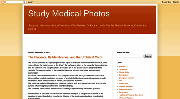 studymedicalphotos.blogspot.com.au