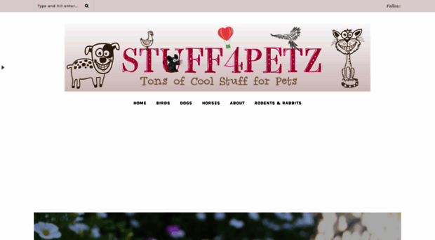 stuff4petz.com