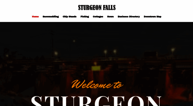 sturgeonfalls.com