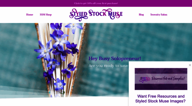 styledstockmuse.com