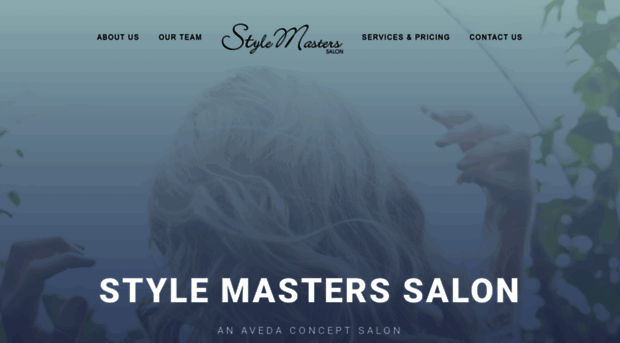 stylemasterssalon.net