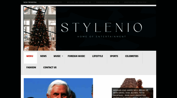 stylenio.com