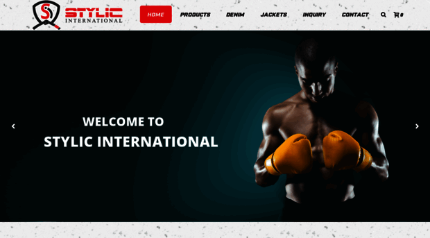 stylicinternational.com
