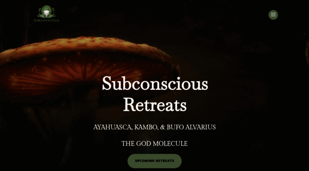 subconsciousretreats.com