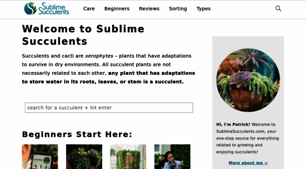 sublimesucculents.com