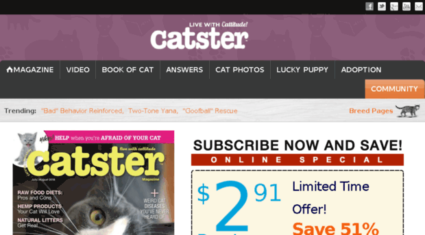 subscribe.catster.com