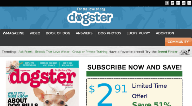 subscribe.dogster.com