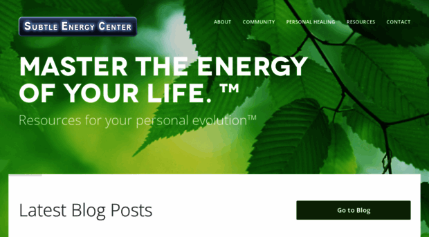 subtleenergycenter.com