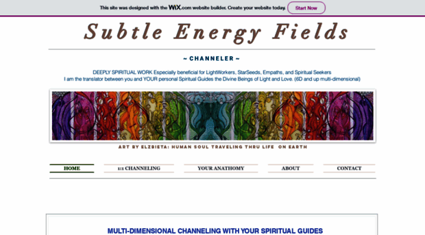 subtleenergyfields.com