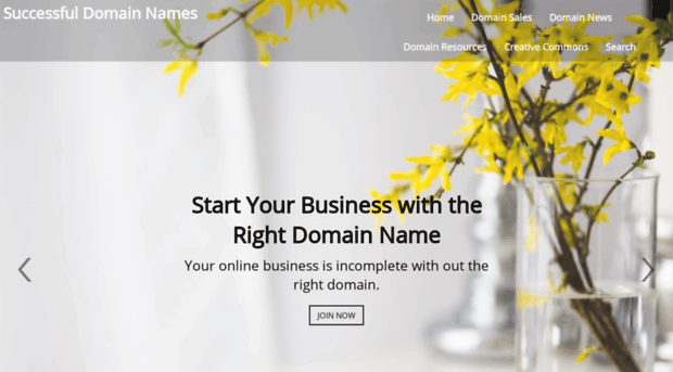 successfuldomainnames.com