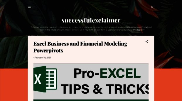 successfulexclaimer.blogspot.com