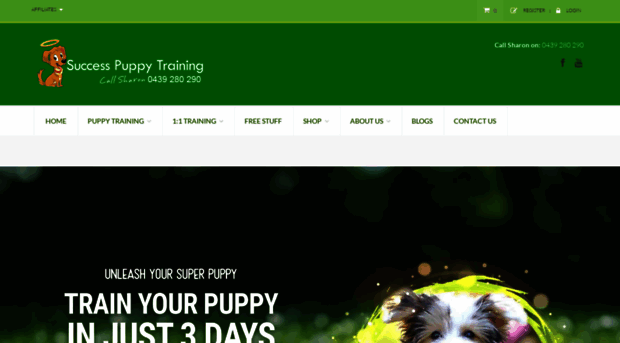 successpuppytraining.com