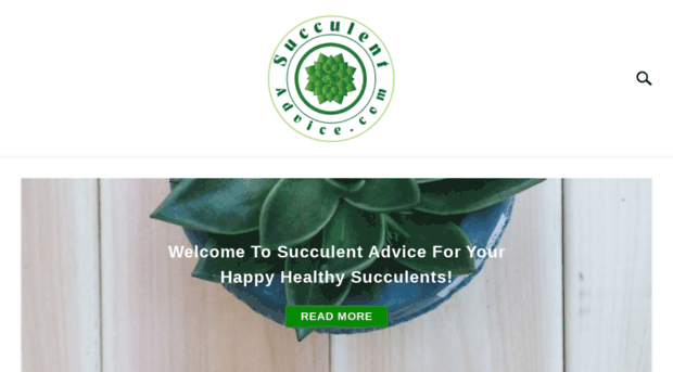 succulentadvice.com