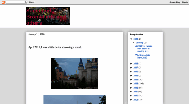 succulentbromeliad.blogspot.com