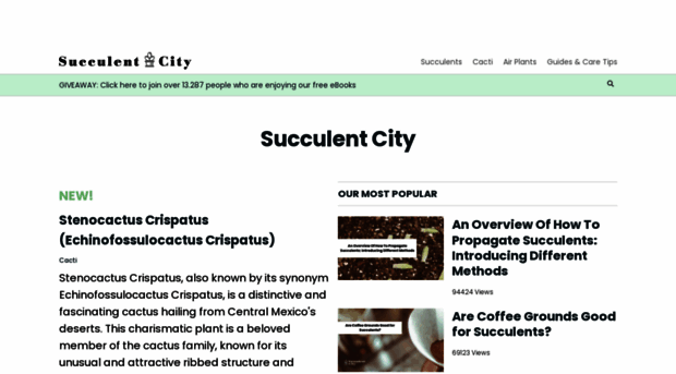 succulentcity.com